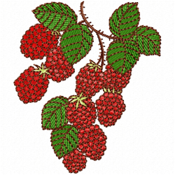 Raspberry Embroidery Design 7 Raspberry Embroidery Design 7